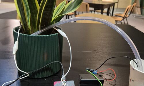 verkabelte Zimmerpflanze und Pappbecher stehen auf einem Tisch