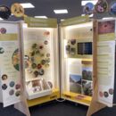 Ausstellung Wildbienen