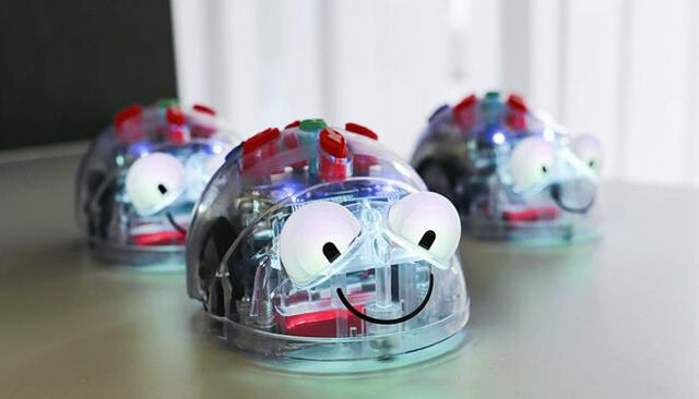 Blue bots mit Gesicht