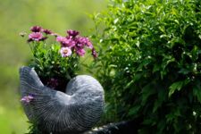 Garten und Blumen im Topf