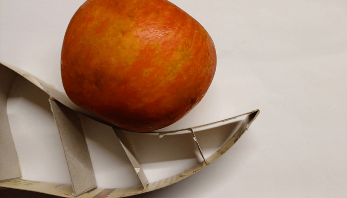 Apfel auf Modell einer Flosse