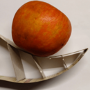 Apfel auf Modell einer Flosse