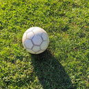 Fußball auf einer Wiese.