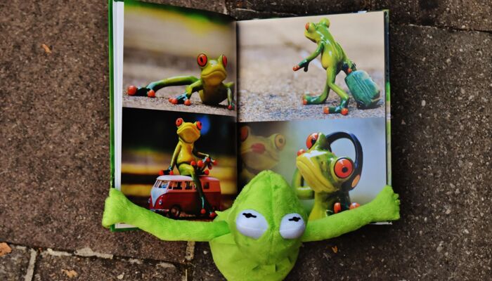 Kermit liest Bilderbuch über Kermits