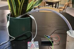verkabelte Zimmerpflanze und Pappbecher stehen auf einem Tisch
