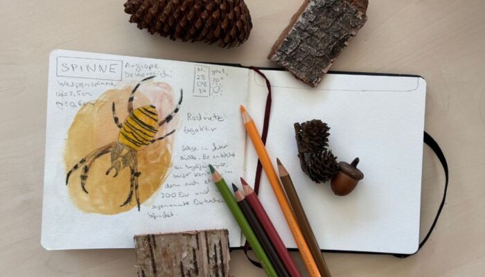 Skizzenbuch mit Stiften und Naturmaterialien