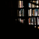 Ein Bücherregal, von dem die Hälfte im Schatten liegt
