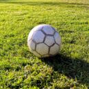 Fußball auf einer Wiese.