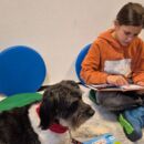 Kind liest Hund vor