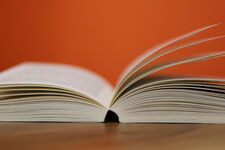 Buch aufgeschlagen