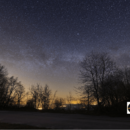 Waldlandschaft mit Abendhimmel