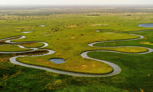 Ein verschlungenes Flusssystem in einer flachen Binnenlandschaft.