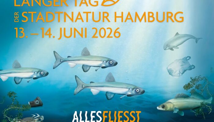 Text "Langer Tag der Stadtnatur Hamburg, 13.-14- Juni 2026, Alles fließt. im Hintergrund: Meer mit Fischen und Plastikmüll.