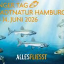 Text "Langer Tag der Stadtnatur Hamburg, 13.-14- Juni 2026, Alles fließt. im Hintergrund: Meer mit Fischen und Plastikmüll.