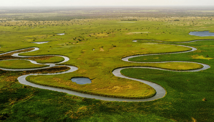 Ein verschlungenes Flusssystem in einer flachen Binnenlandschaft.