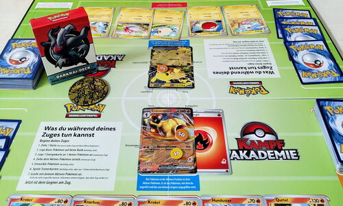 Foto vom Pokemon Einsteiger Spiel 2.0