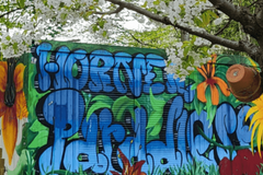 Graffiti Horner Paradiese