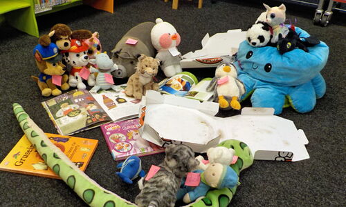 Kuscheltiere umringen aufgeschlagene Bücher und einen leeren Pizzakarton.
