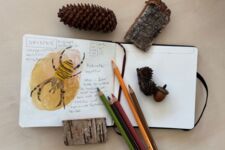 Skizzenbuch mit Stiften und Naturmaterialien