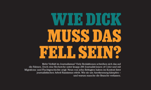 Text über die Umfrage vom Kitt Kollektiv
