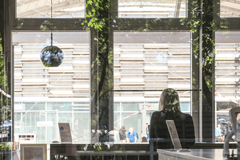 eine Person sitzt mit einem Laptop vor einem Fenster in einer Bibliothek