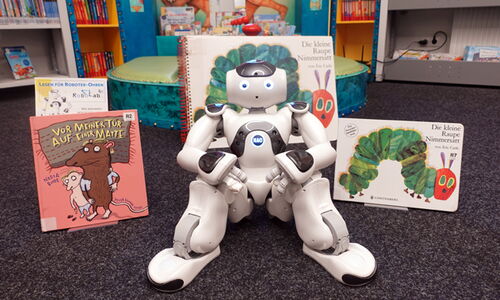 Roboter Nao