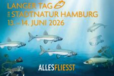 Text "Langer Tag der Stadtnatur Hamburg, 13.-14- Juni 2026, Alles fließt. im Hintergrund: Meer mit Fischen und Plastikmüll.
