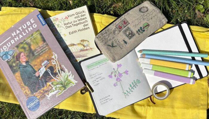 Ein gelbes Tuch auf einer Wiese. Darauf liegen Bücher und Stifte.