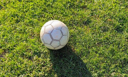 Fußball auf einer Wiese.