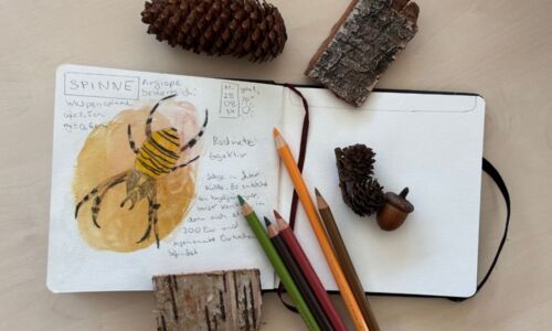Skizzenbuch mit Stiften und Naturmaterialien