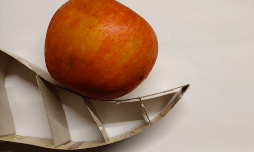 Apfel auf Modell einer Flosse