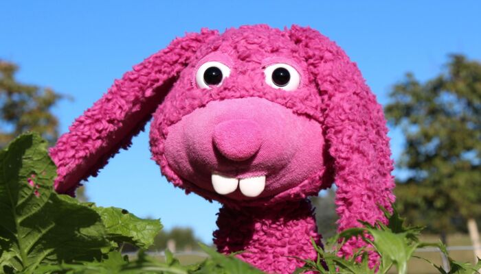 Rosa Stoffhase in der Natur