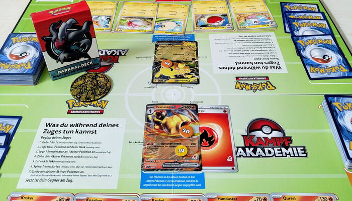 Foto vom Pokemon Einsteiger Spiel 2.0