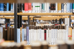 Nahaufnahme Bücherregal