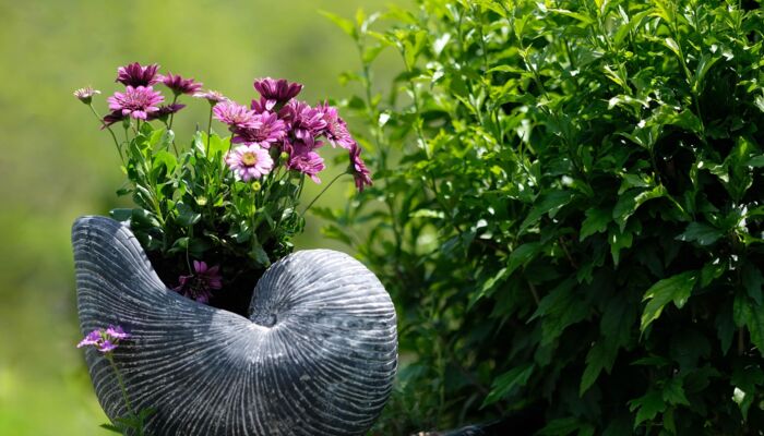 Garten und Blumen im Topf