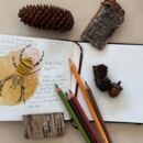 Skizzenbuch mit Stiften und Naturmaterialien