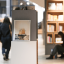 Buch ausgestellt auf Regal in Zentralbibliothek