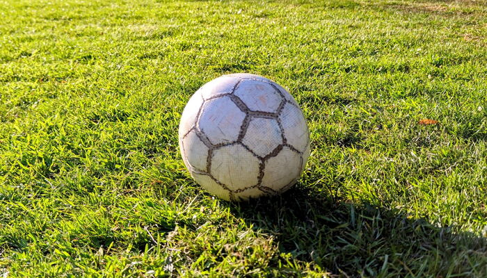 Fußball auf einer Wiese.