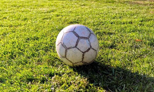 Fußball auf einer Wiese.