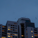 Ein Hochhaus in der Abenddämmerung mit erleuchteten Fenster.