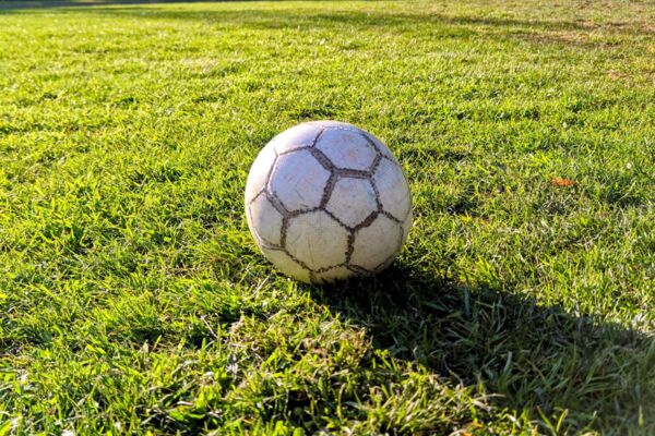 Fußball auf einer Wiese.
