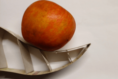 Apfel auf Modell einer Flosse