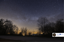 Waldlandschaft mit Abendhimmel