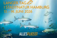 Text "Langer Tag der Stadtnatur Hamburg, 13.-14- Juni 2026, Alles fließt. im Hintergrund: Meer mit Fischen und Plastikmüll.