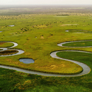 Ein verschlungenes Flusssystem in einer flachen Binnenlandschaft.