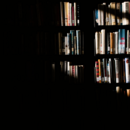 Ein Bücherregal, von dem die Hälfte im Schatten liegt