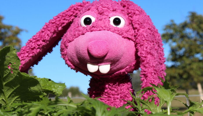 Rosa Stoffhase