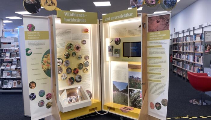 Ausstellung Wildbienen