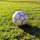 Fußball auf einer Wiese.