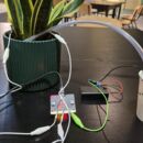 verkabelte Zimmerpflanze und Pappbecher stehen auf einem Tisch
